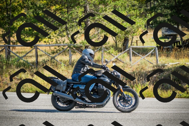 202510121130-DSC03782_c1_