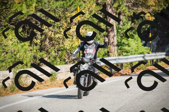 202510121131-DSC03785_c1_