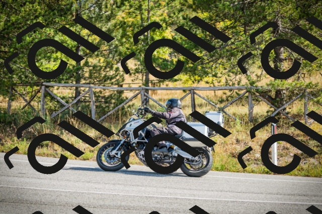 202510121131-DSC03793_c1_