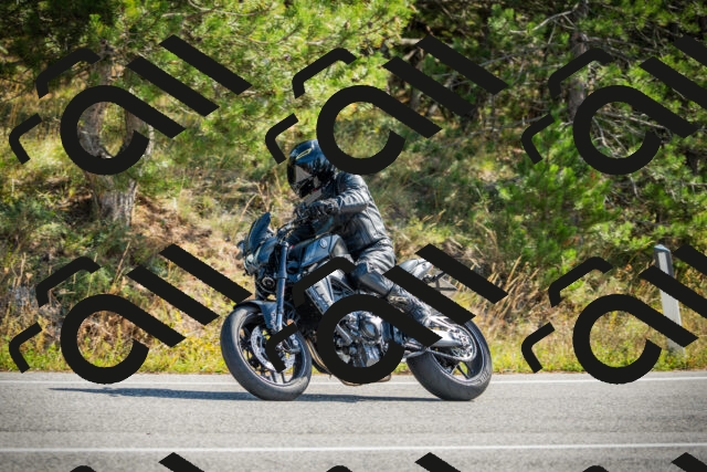 202510121131-DSC03794_c1_