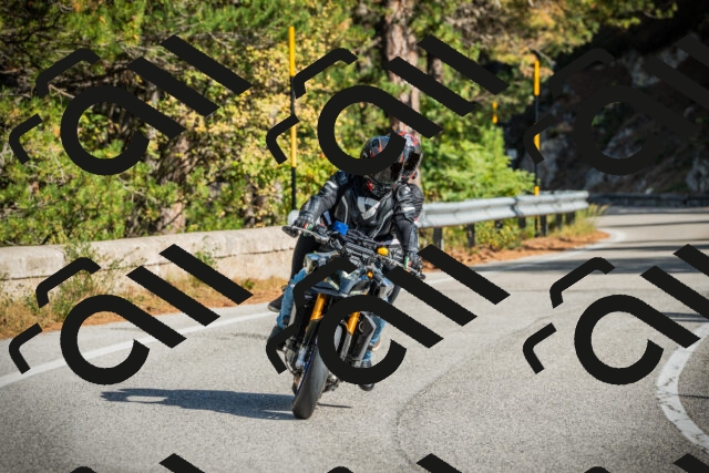 202510121134-DSC03797_c1_