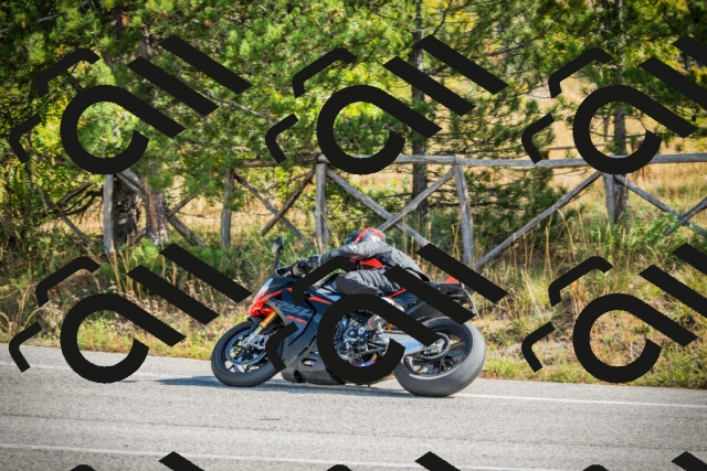 202510121134-DSC03807_c1_