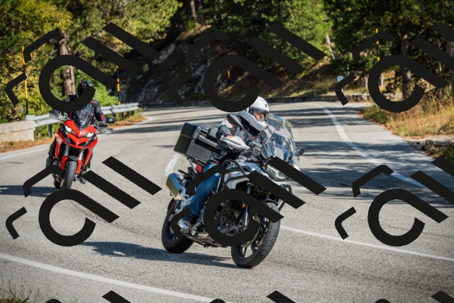 202510121134-DSC03815_c1_