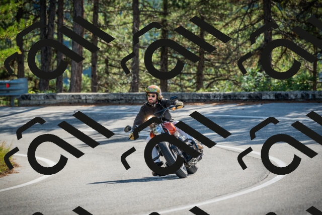 202510121135-DSC03824_c1_