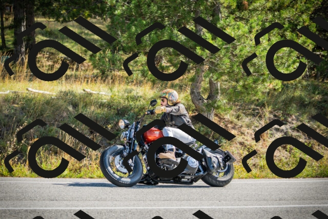 202510121135-DSC03826_c1_