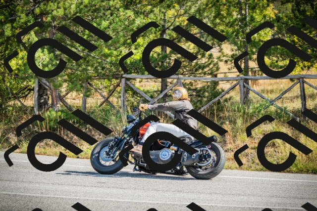 202510121135-DSC03827_c1_