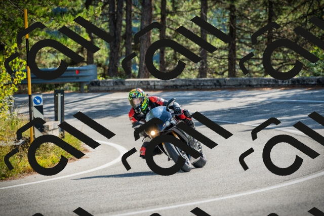 202510121136-DSC03830_c1_