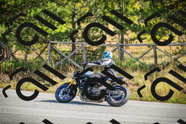 202510121136-DSC03836_c1_