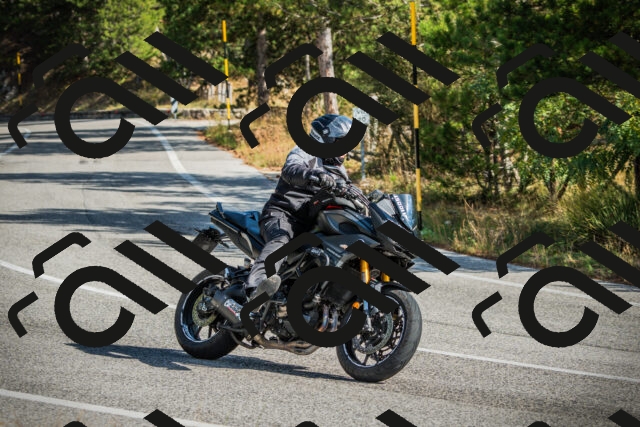 202510121137-DSC03839_c1_