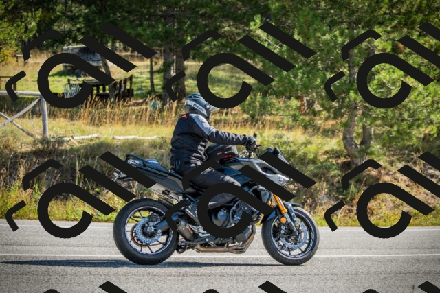 202510121137-DSC03841_c1_