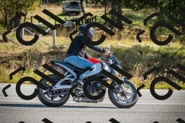 202510121137-DSC03843_c1_