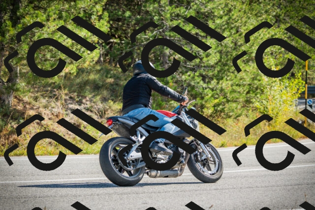 202510121137-DSC03844_c1_