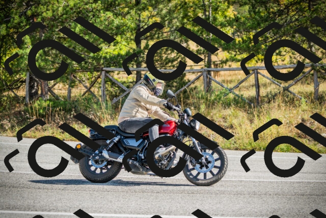 202510121137-DSC03846_c1_