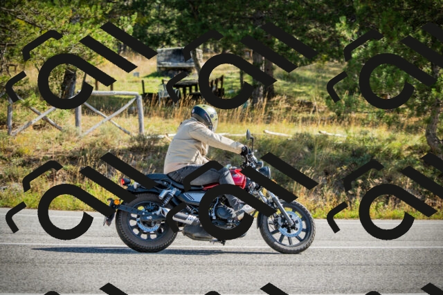 202510121137-DSC03847_c1_