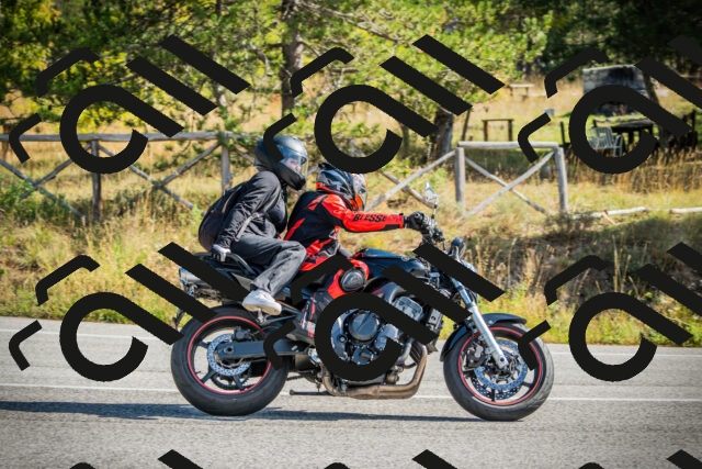 202510121137-DSC03853_c1_