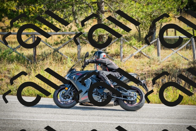 202510121137-DSC03857_c1_