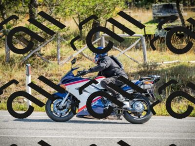 202510121137-DSC03861_c1_