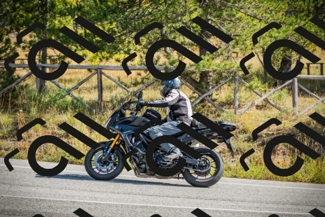 202510121137-DSC03862_c1_