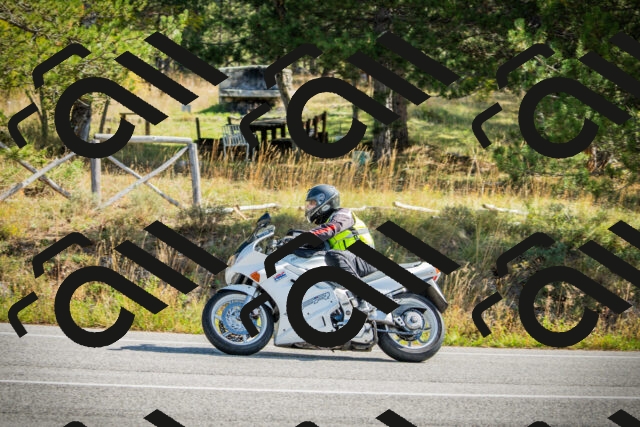 202510121137-DSC03864_c1_