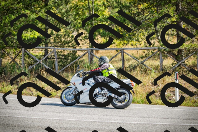 202510121137-DSC03865_c1_