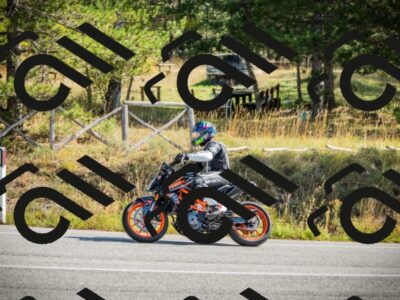 202510121137-DSC03866_c1_