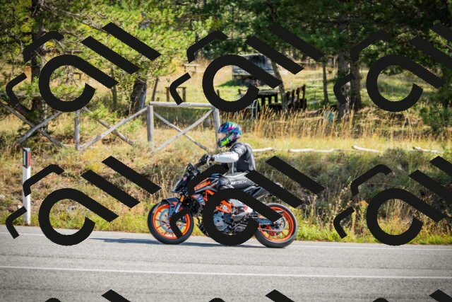 202510121137-DSC03866_c1_