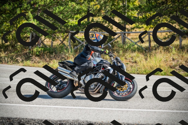 202510121138-DSC03871_c1_