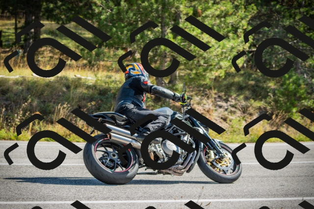 202510121138-DSC03872_c1_