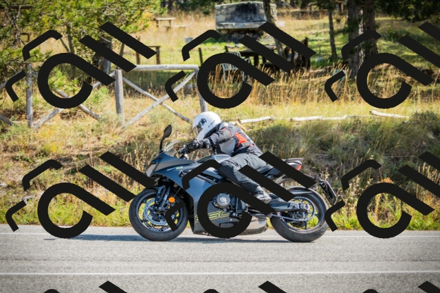 202510121138-DSC03874_c1_