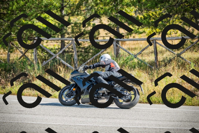 202510121138-DSC03875_c1_