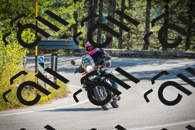 202510121138-DSC03877_c1_