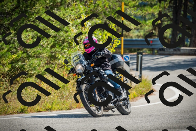 202510121138-DSC03878_c1_