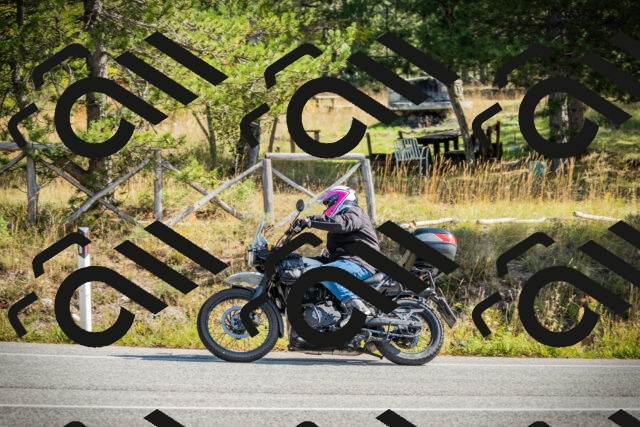 202510121138-DSC03879_c1_