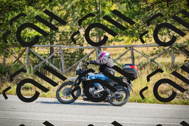 202510121138-DSC03880_c1_