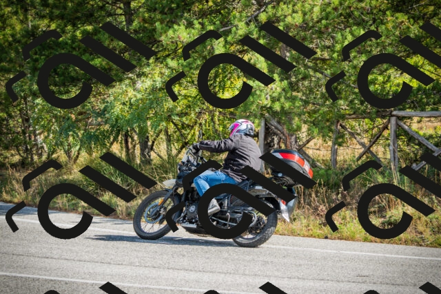 202510121138-DSC03881_c1_