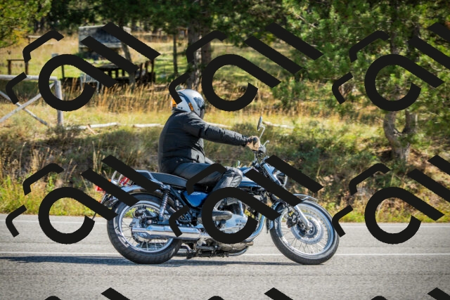 202510121138-DSC03884_c1_