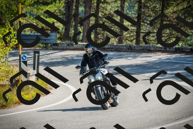 202510121139-DSC03886_c1_