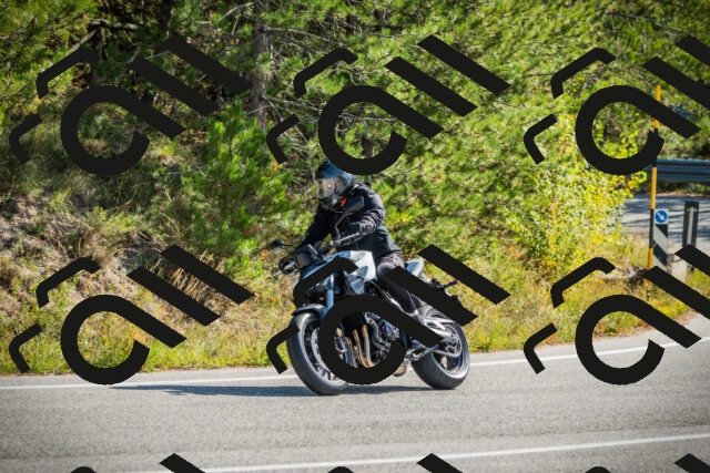 202510121139-DSC03887_c1_