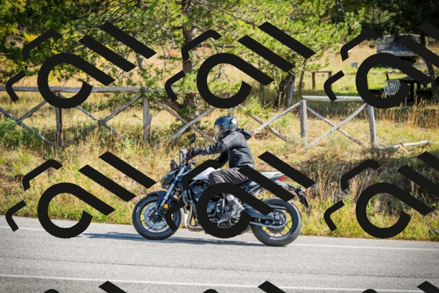 202510121139-DSC03888_c1_