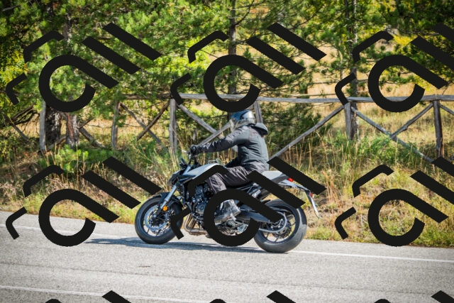 202510121139-DSC03889_c1_