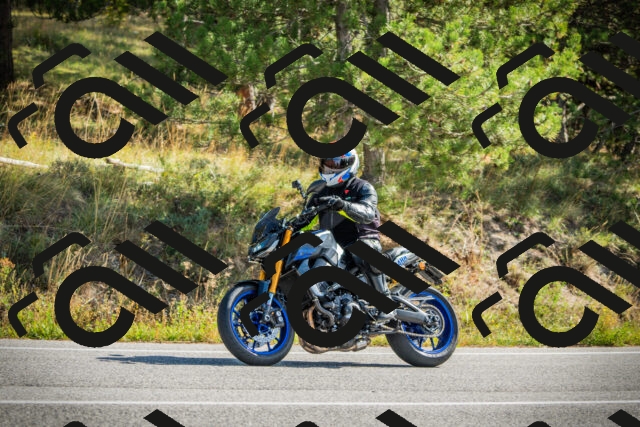 202510121140-DSC03894_c1_