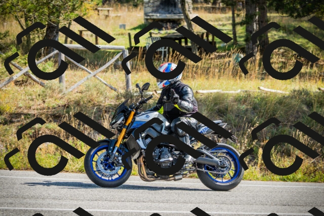 202510121140-DSC03895_c1_