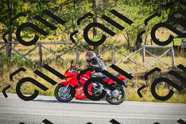 202510121140-DSC03896_c1_