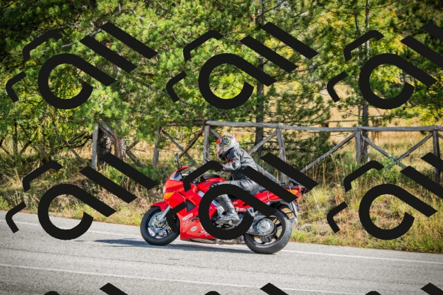 202510121140-DSC03897_c1_