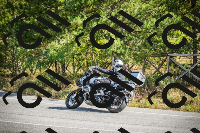 202510121141-DSC03903_c1_