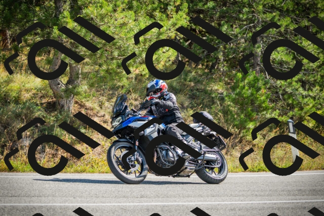 202510121141-DSC03906_c1_