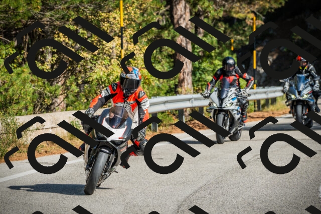 202510121142-DSC03910_c1_