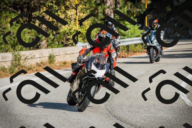 202510121142-DSC03911_c1_