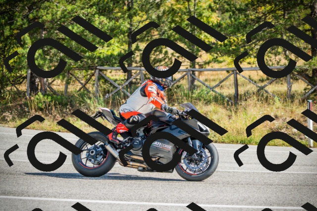 202510121142-DSC03913_c1_