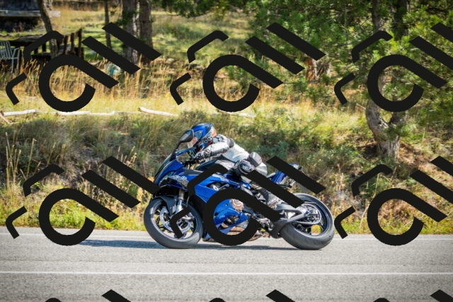 202510121142-DSC03921_c1_